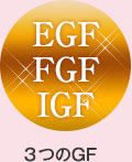 ３つのGF
