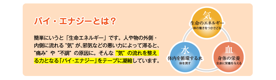 パイ・エナジーとは？