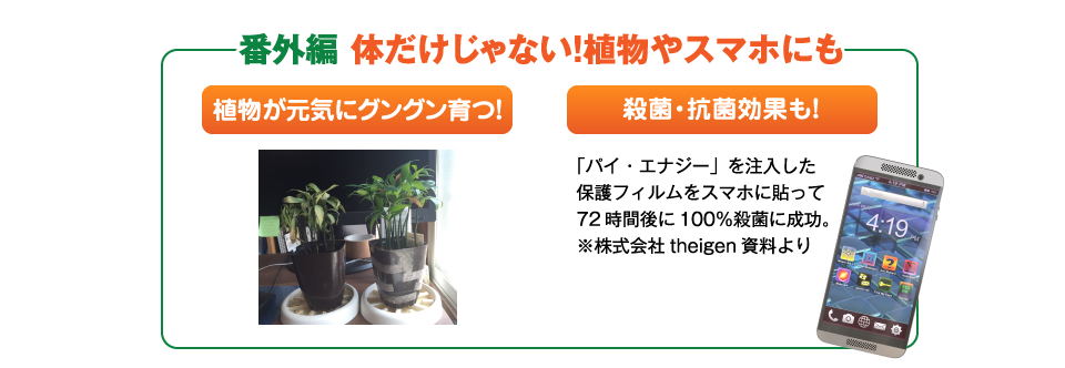 番外編体だけじゃない！植物やスマホにも