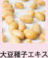 大豆種子エキス