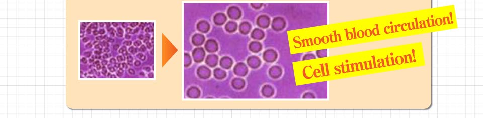 Smooth blood circulation!Cell stimulation!
