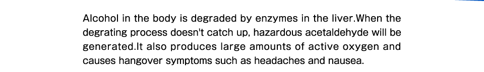 Alcohol in the body is degraded by enzymes in the liver.When the degrating process doesn't catch up, hazardous acetaldehyde will be generated.It also produces large amounts of active oxygen and causes hangover symptoms such as headaches and nausea.