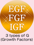 EGF・FGF・IGF