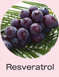 Resveratrol