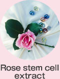 Resveratrol