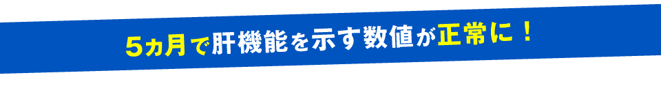 ５ヵ月で肝機能を示す数値が正常に！